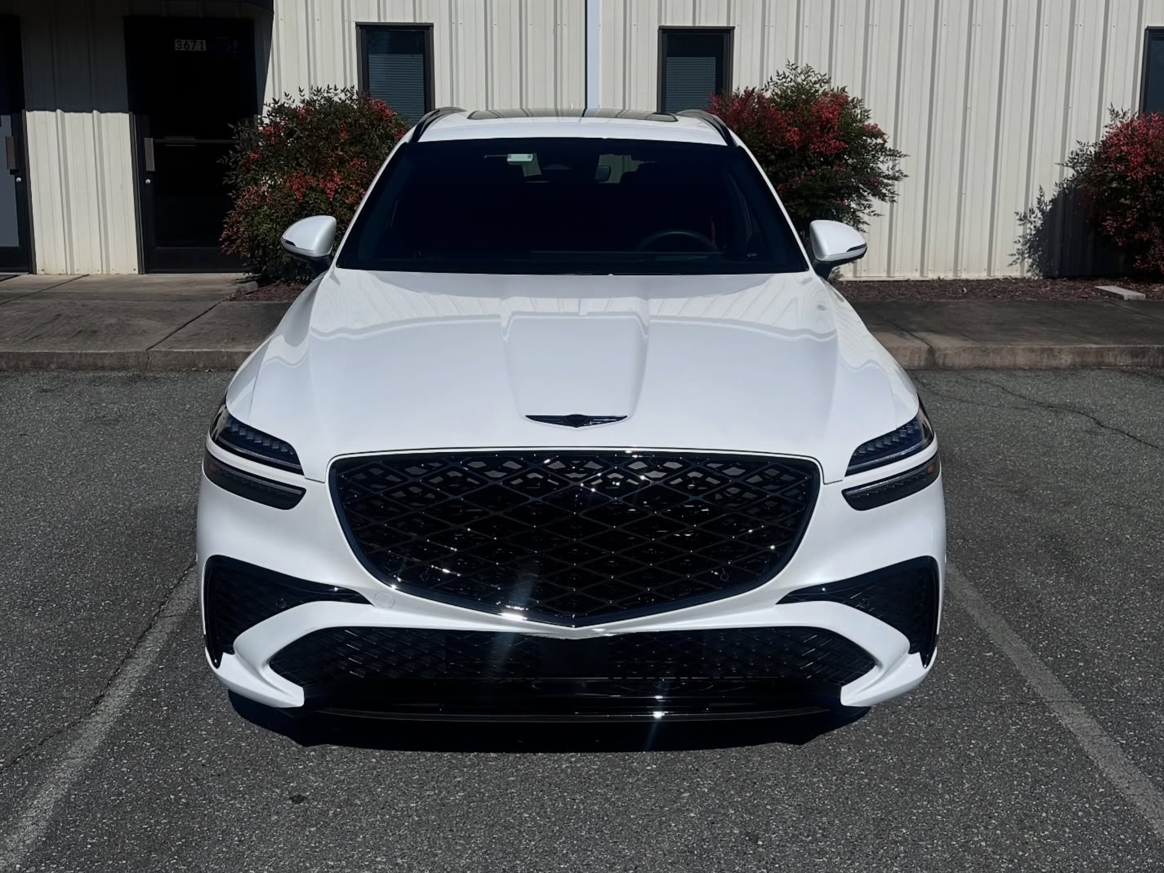 paint correction burlington